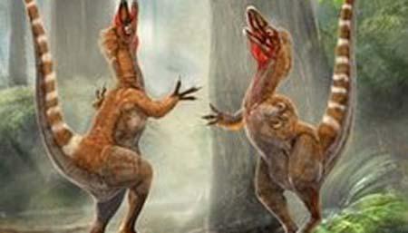 Chinese&nbsp;archeologists&nbsp;said&nbsp;Friday&nbsp;they&nbsp;have&nbsp;discovered&nbsp;an&nbsp;exceptional&nbsp;large&nbsp;track&nbsp;of&nbsp;dinosaur&nbsp;footprints&nbsp;in&nbsp;a&nbsp;city&nbsp;in&nbsp;the&nbsp;eastern&nbsp;province&nbsp;of&nbsp;Shandong.
