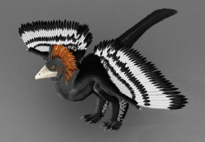 Scientists&nbsp;for&nbsp;the&nbsp;first&nbsp;time&nbsp;decode&nbsp;the&nbsp;full-body&nbsp;color&nbsp;pattern&nbsp;of&nbsp;a&nbsp;155-million-year-old&nbsp;Anchiornis&nbsp;huxleyi,&nbsp;a&nbsp;kind&nbsp;of&nbsp;small-size&nbsp;beastly-foot&nbsp;class&nbsp;dinosaurs.&nbsp;Scientists&nbsp;of&nbsp;the&nbsp;Beijing&nbsp;Natural&nbsp;History&nbsp;Museum&nbsp;and&nbsp;those&nbsp;on&nbsp;dinasours,&nbsp;modern&nbsp;birds,&nbsp;ancient&nbsp;birds&nbsp;of&nbsp;the&nbsp;Peking&nbsp;University,&nbsp;Yale&nbsp;University,&nbsp;University&nbsp;of&nbsp;Texas&nbsp;and&nbsp;University&nbsp;of&nbsp;Akron&nbsp;finished&nbsp;the&nbsp;project&nbsp;in&nbsp;cooperation.&nbsp;&nbsp;&nbsp;[Photo&nbsp;Source:&nbsp;Beijing&nbsp;Natural&nbsp;History&nbsp;Museum]