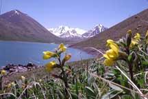 Backgrounder: Basic facts about Kyrgyzstan 