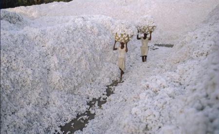 State&nbsp;of&nbsp;Gujarat,&nbsp;India&nbsp;(Photo&nbsp;Source:&nbsp;huanqiu.com)