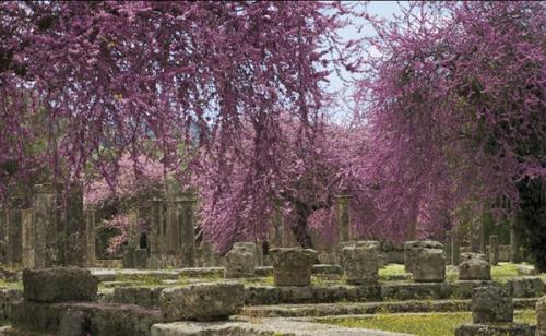 Olympia,&nbsp;Greece&nbsp;(Photo&nbsp;Source:&nbsp;huanqiu.com)
