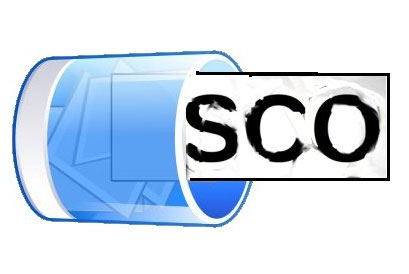<font color=red>SCO leaders conclude annual summit, sign Joint communique </font>