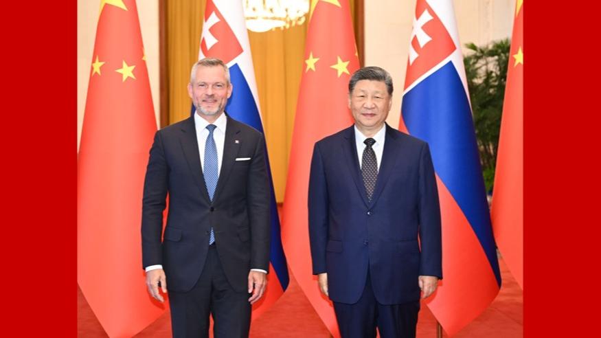 Xi holds talks with Slovak president in Beijing