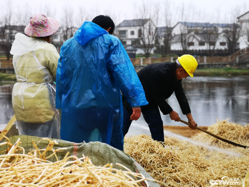 邢江河水质为二类，村民放心地用河水淘洗蔬菜。（何川 摄）