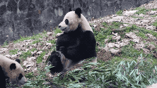 央视网_世界就在眼前