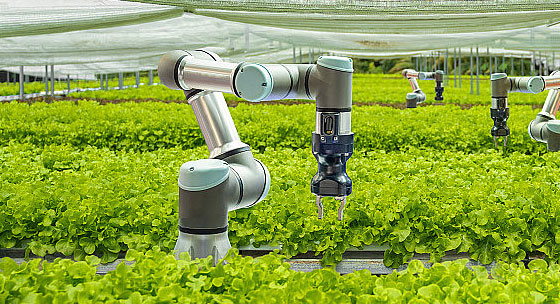 更新 更新 今年的农田“更新”了啥？