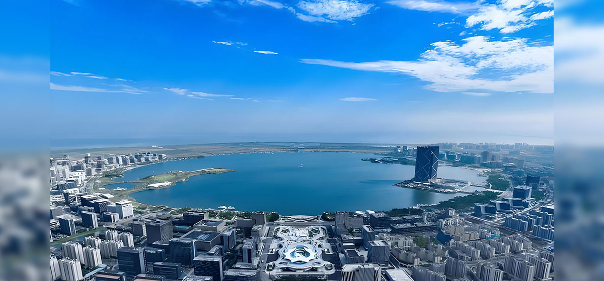 这座年轻的城，如何吸引年轻人 答案就在上海临港这场大会上