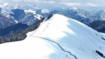 误入仙境！我拍到了扎尕那春雪限定壁纸