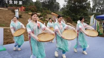 江西：茶香满山间 庐山云雾茶开采