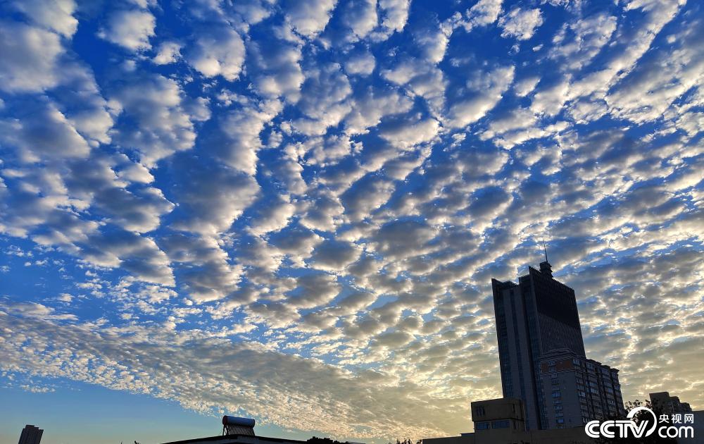 雨后放晴 郑州上空现"鱼鳞云"