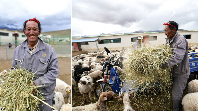 China's rural residents