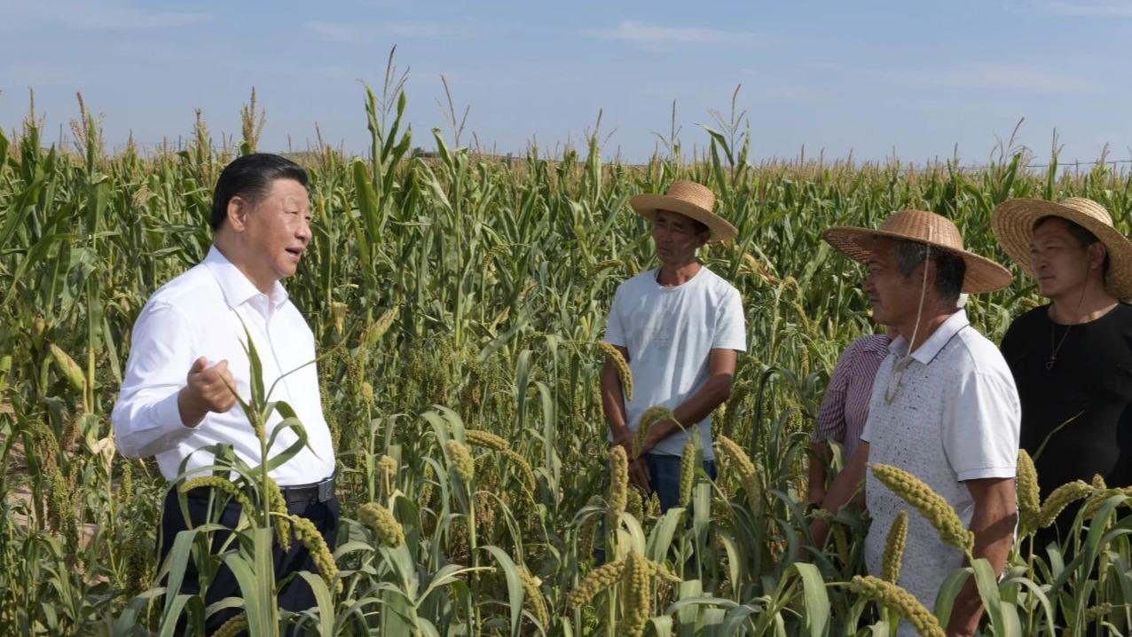 How Xi Jinping's early rural years shaped a lasting pledge to improve lives