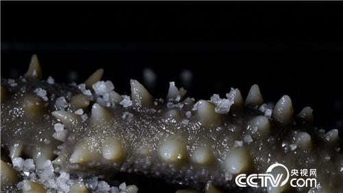 [致富经]美容院女老板改行下海 捞出千万财 20190228 