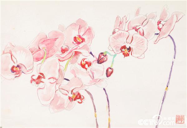 《蝴蝶兰》 戴泽 布面油画 26×38.5cm 2008年 中国美术馆藏