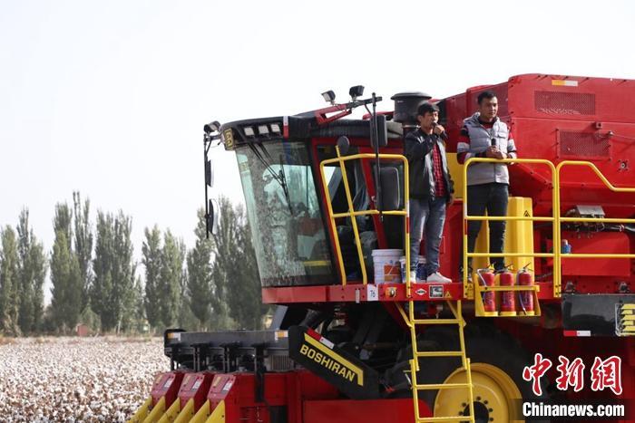 图为新闻发布会上，尉犁县采棉机司机塞米·玉素甫(左一)展示了他驾驶的采棉机。 <a target='_blank' href='http://www.chinanews.com/'><p class=