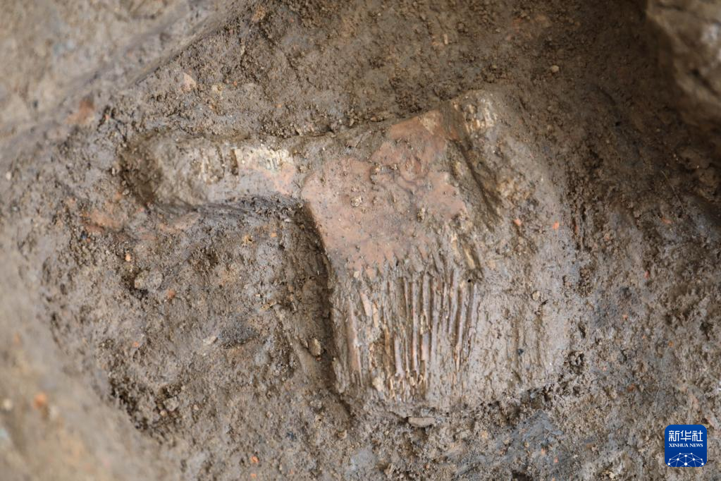 河南南阳市黄山新石器时代遗址出土的屈家岭文化骨梳（资料图）。