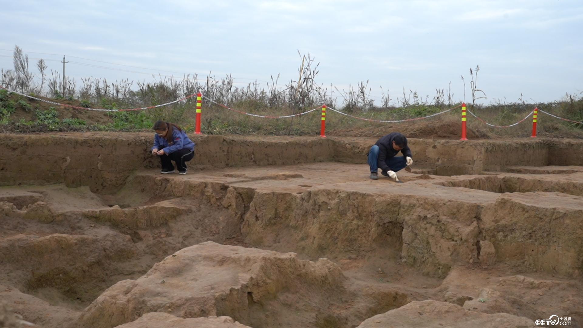在宫殿区西侧,考古队员意外发现了咸阳宫的府库遗址