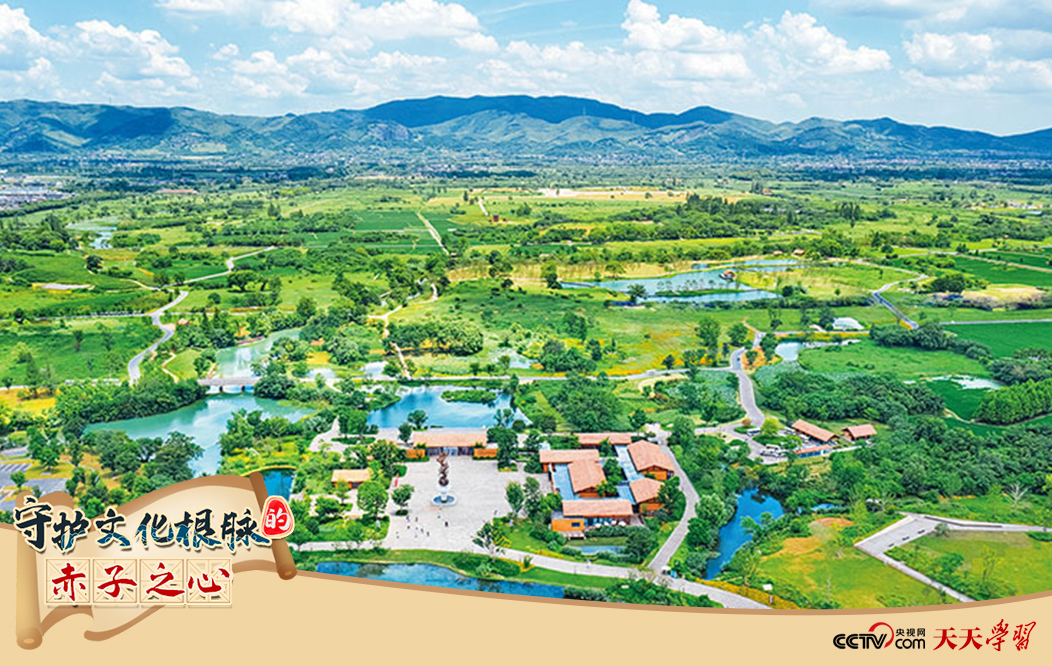 图为2021年7月拍摄的良渚古城遗址公园。　