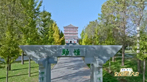 河南陈家沟 百人太极