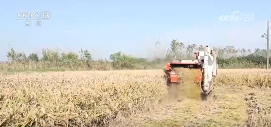 “农机+农业科技”助力秋收