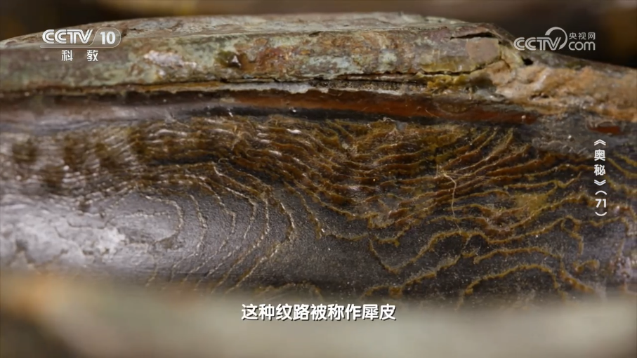 文博日历丨漆器界“黑马” 凭实力改写中国漆艺史_新闻频道_央视网(cctv.com)
