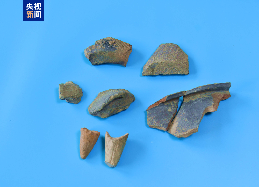 在移穰村采集到的龙山文化时期至夏代陶片