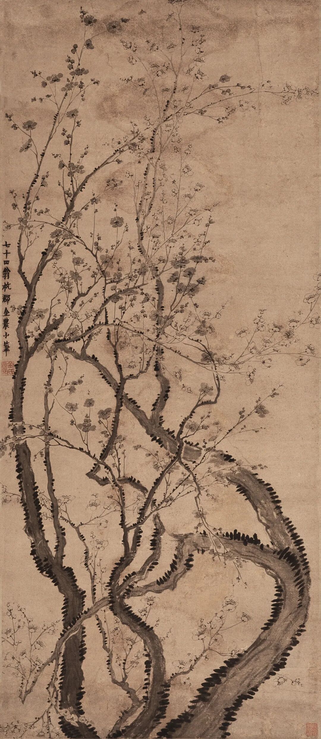 双色梅花图  金农  中国画  129.5&times;56cm  1760年  中国美术馆藏